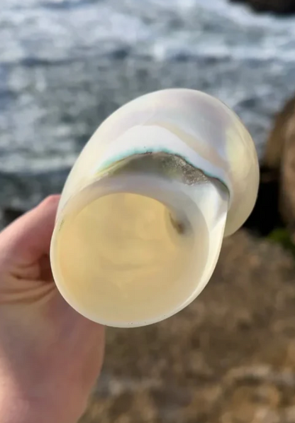 The Mermaid's Kiss Glass